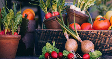 Sharing a Bountiful Garden…